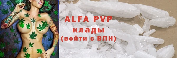 хмурый Елизово