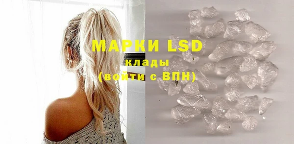 ECSTASY Ельня