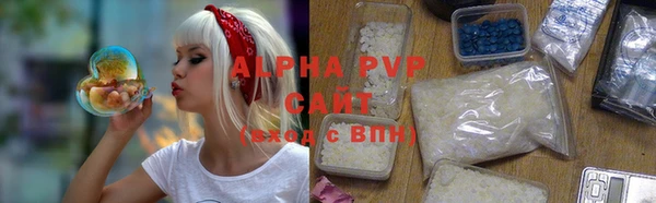 ECSTASY Ельня