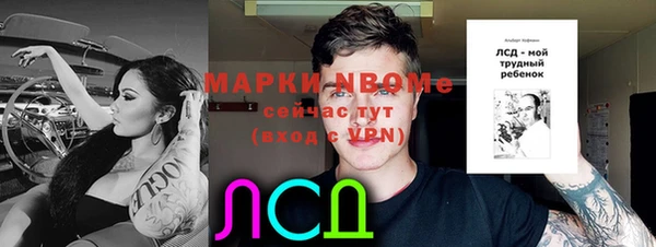 хмурый Елизово