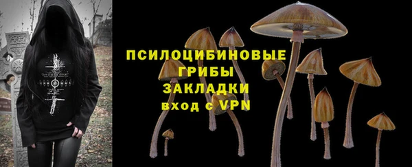 spice Елабуга