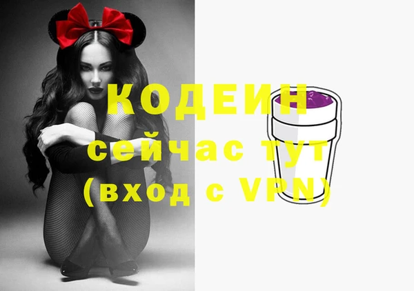 ECSTASY Ельня