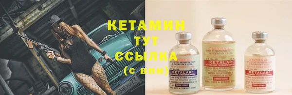 ECSTASY Ельня