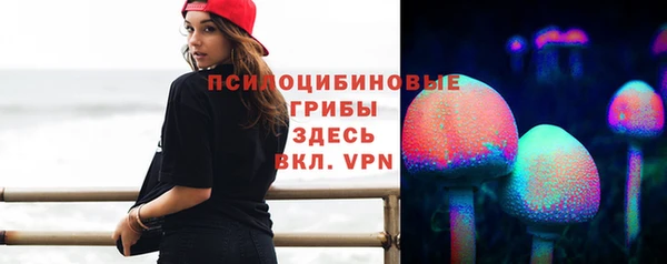 ECSTASY Ельня