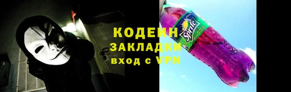 хмурый Елизово