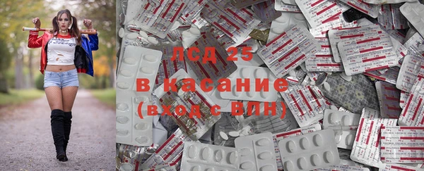 хмурый Елизово