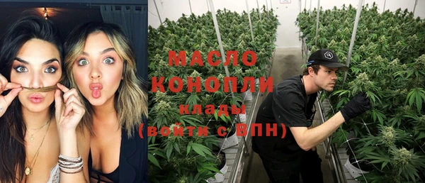 ECSTASY Ельня