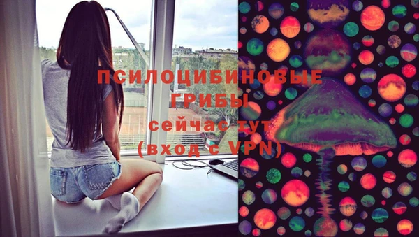 хмурый Елизово