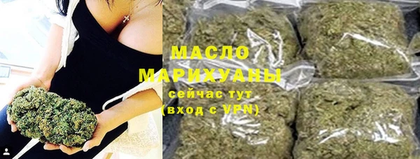 ECSTASY Ельня