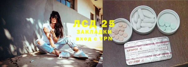 ECSTASY Ельня